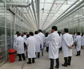 永通科技亮相京津冀，共探蔬菜工廠化生產(chǎn)新路徑