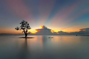 70幅光影詩篇 自然與風(fēng)光攝影的視覺盛宴